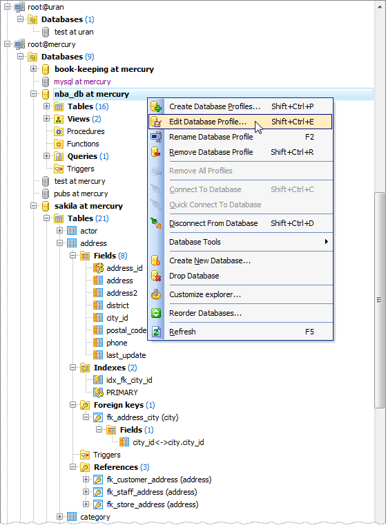Database Explorer